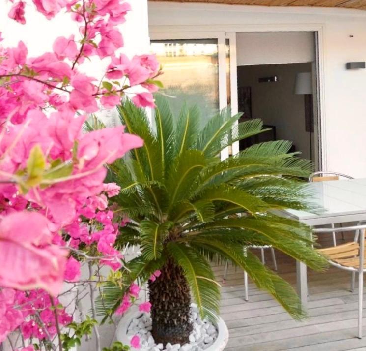 בארי B&B Interno 3 מראה חיצוני תמונה